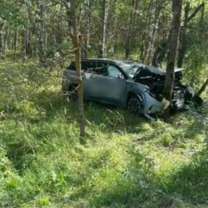 В Камешковском районе иномарка съехала в кювет