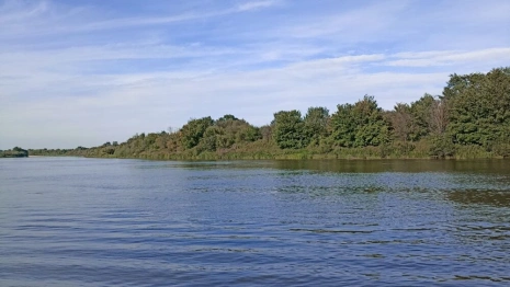 Во Владимирской области насчитали 898 запрещенных для купания мест