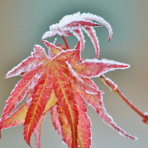 Синоптики дали прогноз на последний день лета во Владимирской области