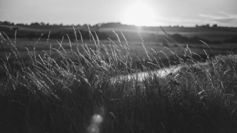 Тело пропавшего во Владимирской области 25-летнего парня нашли в зарослях