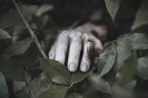 Без вести пропавшего 47-летнего жителя Владимира нашли мертвым на тропинке в лесу