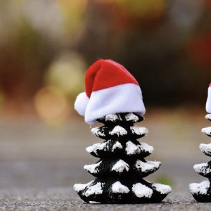 Во Владимире дети смогут в Центральном парке отправить письма Деду Морозу