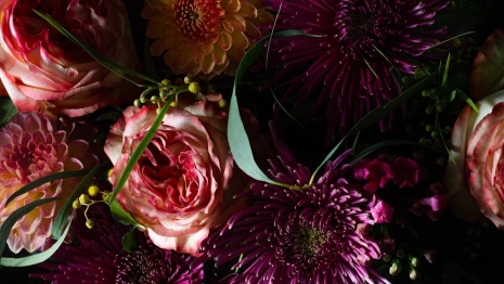 Во Владимирской области за парты сели почти 150 тысяч учеников