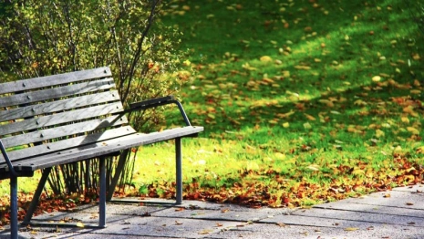 Во Владимире благоустройством сквера имени Кутузова займутся москвичи