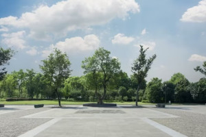 Во Владимире начали искать подрядчика для благоустройства Курсантского сквера