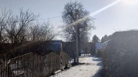 В деревне под Собинкой нашли опасные опоры ЛЭП