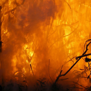 Запад Владимирской области оказался в зоне 4 класса пожароопасности