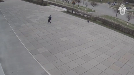 Молодого жителя Владимира будут судить за попытку поджога Белого дома