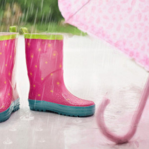 Во Владимирскую область придут дожди и резкое похолодание