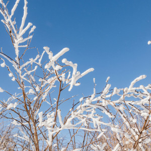 Прогноз погоды во Владимире и области на 8 февраля