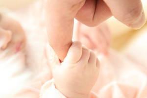 Во Владимирской области в апреле родились Пересвет и Астра