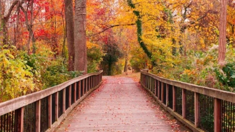 Семин день: что можно и чего нельзя делать 14 сентября