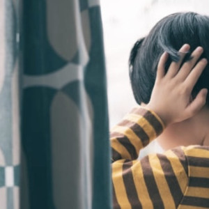 Во Владимирской области дачникам запретили шуметь в определенные часы