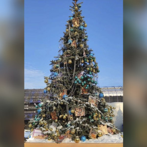 Елку Владимирской области назвали самой гламурной на выставке «Россия»