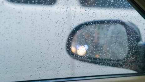 Во Владимирской области рабочая неделя будет пасмурной