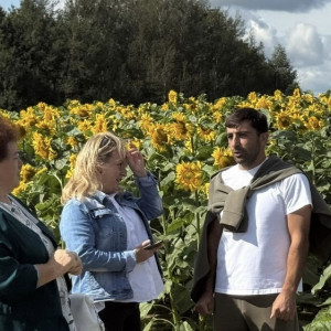 Во Владимирской области впервые соберут урожай подсолнечника
