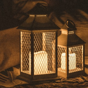 Во Владимирской области врезавшийся в ЛЭП водитель обесточил несколько деревень