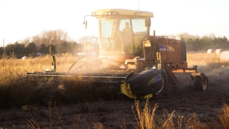 Во Владимирской области ферма выплатила дочери погибшего сотрудника полмиллиона 