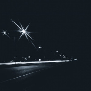 Во Владимирской области пропавшего в августе мужчину нашли мертвым