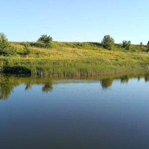 Стали известны личности утонувших в сельском пруду под Юрьев-Польским