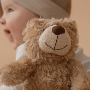 Во Владимирской области родились Нестор и Феофан