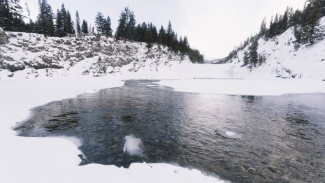 Родион Ледолом: что можно и нельзя делать 21 апреля