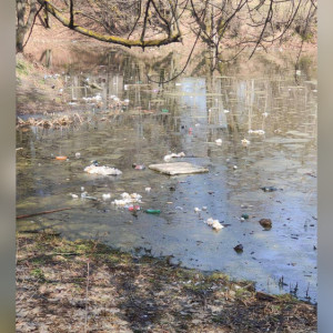 Во Владимире Добросельский пруд завалили мусором