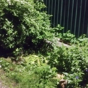 Жителя Александрова арестовали за убийство родственника