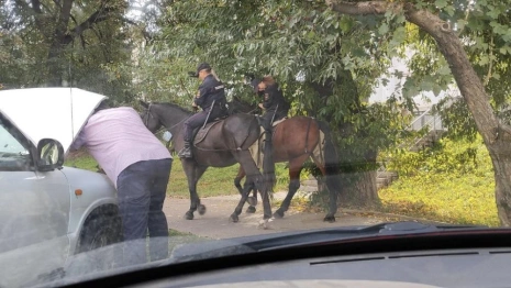Во Владимире заметили конную полицию