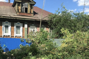 В Красной Горбатке аварийное дерево угрожало падением на дом с 5-ю детьми внутри