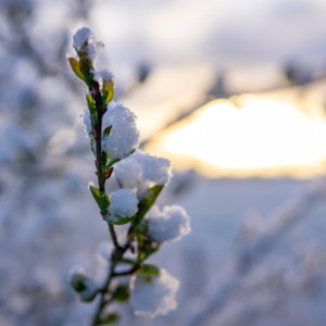 Народные приметы на 1 марта 2024 года: что категорически запрещается делать в этот день