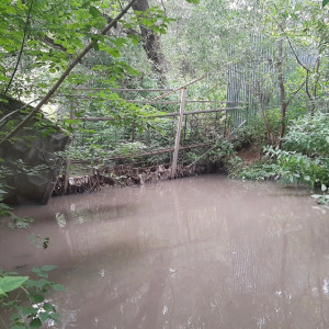 Жители Владимира пожаловались на ужасную вонь от реки Лыбедь