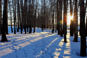 Прогноз погоды во Владимирской области на 25 декабря 2024 года