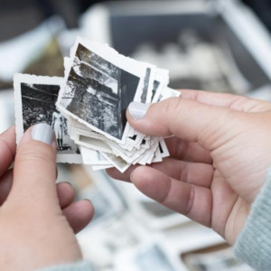 Мэрию Владимира в очередной раз оштрафовали за использование чужих фото