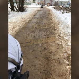 Дворник из Коврова вызвал чиновников на боксерский ринг
