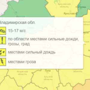 Во Владимирской области синоптики объявили желтый уровень погодной опасности