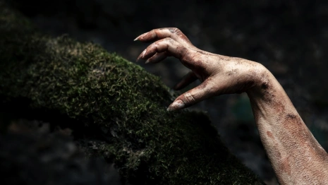 Москвич обнаружил разложившийся труп жены в Гусь-Хрустальном