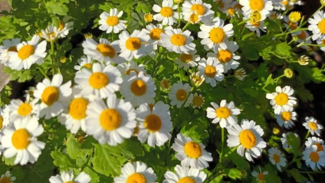 Прогноз погоды во Владимире и области на 1 июня