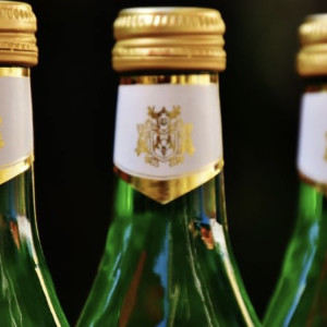 Во Владимире работающего на аферистов курьера вычислили по выброшенной бутылке