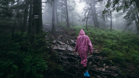 Владимирцев попросили помочь в поисках 82-летнего мужчины