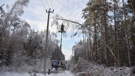 Во Владимирской области 12 районов остались без света
