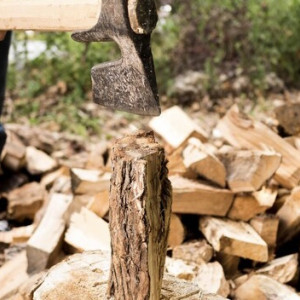 Во Владимирской области незаконно вырубили лес на 900 тыс. рублей