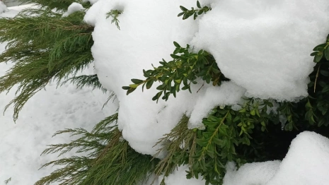 В выходные во Владимирскую область придет похолодание до -5