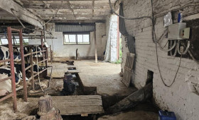 Директора фермы под Ковровом будут судить за гибель работника