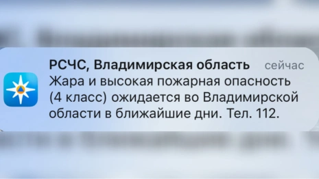 Во Владимирской области объявили высокую пожарную опасность из-за жары