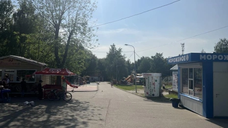 Во Владимире общественные обсуждения по застройке у парка «Дружба» перенесли