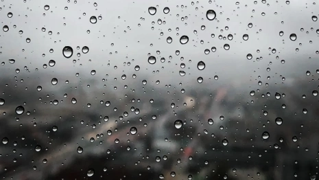 Во Владимирской области пообещали ливень с грозой