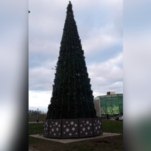 Во Владимире появилась первая новогодняя елка