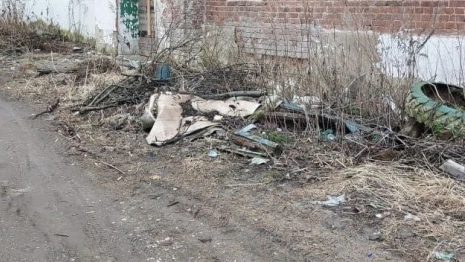 Огромная стихийная свалка в Камешково привела к суду