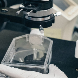 В блюдах прославившейся массовым отравлении пиццерии в Коврове нашли кишечную палочку